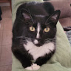 Meet your Posher, Missi